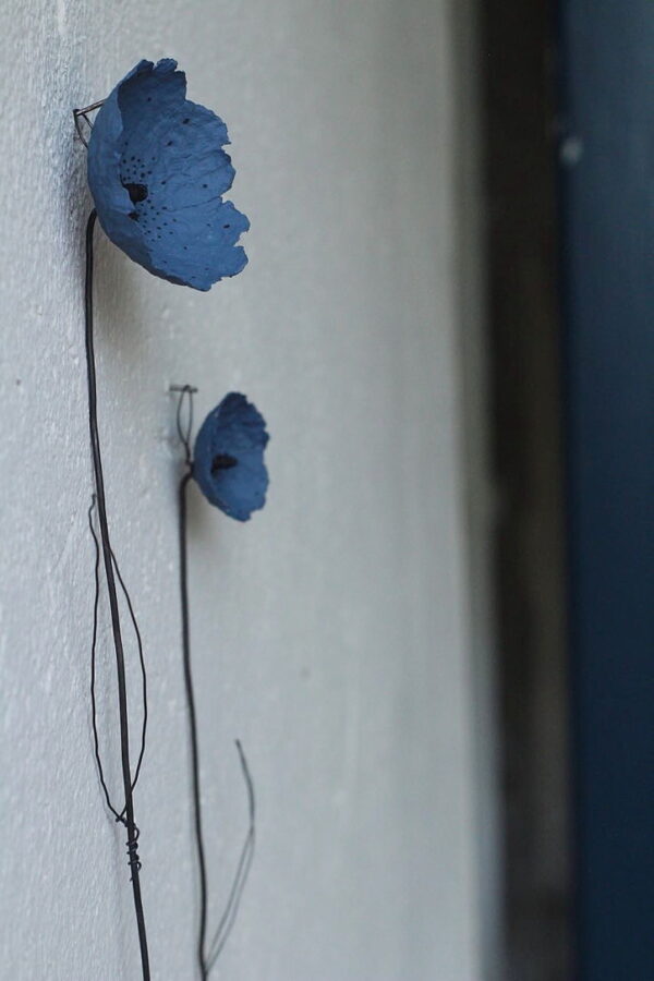 Fiori appesi - immagine 7