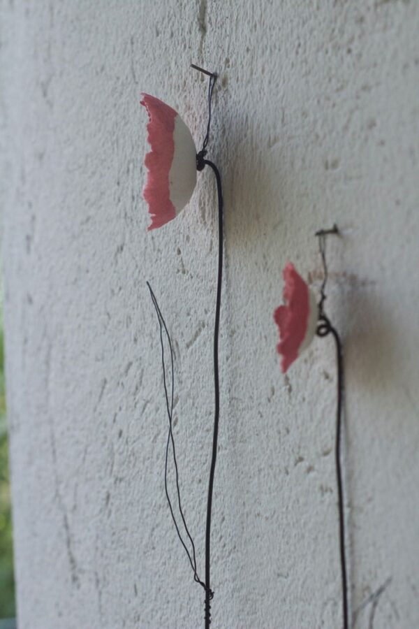 Fiori appesi - immagine 11