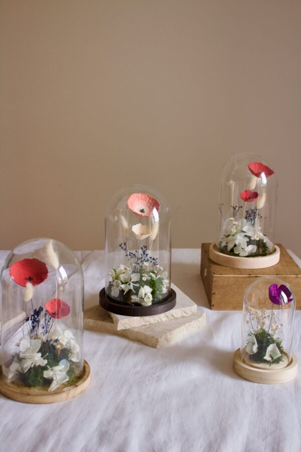 Cloches - immagine 2