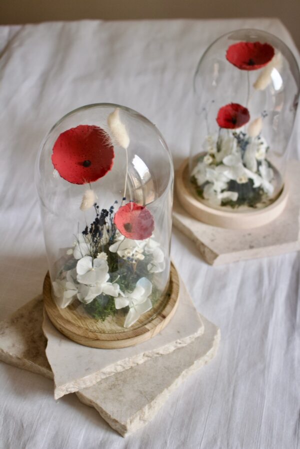Cloches - immagine 6