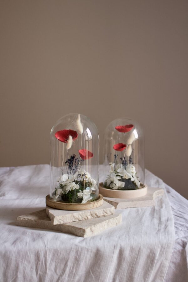 Cloches - immagine 5