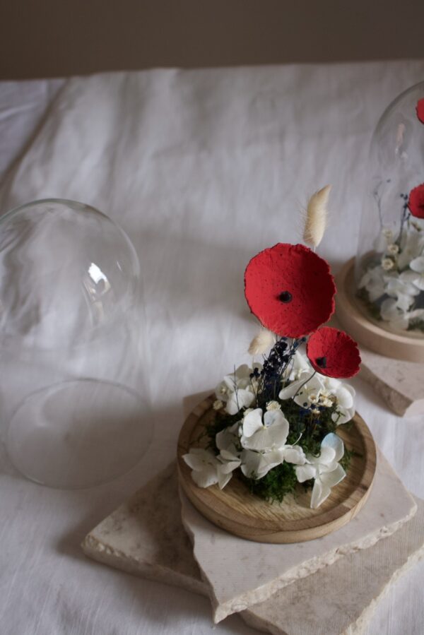 Cloches - immagine 4